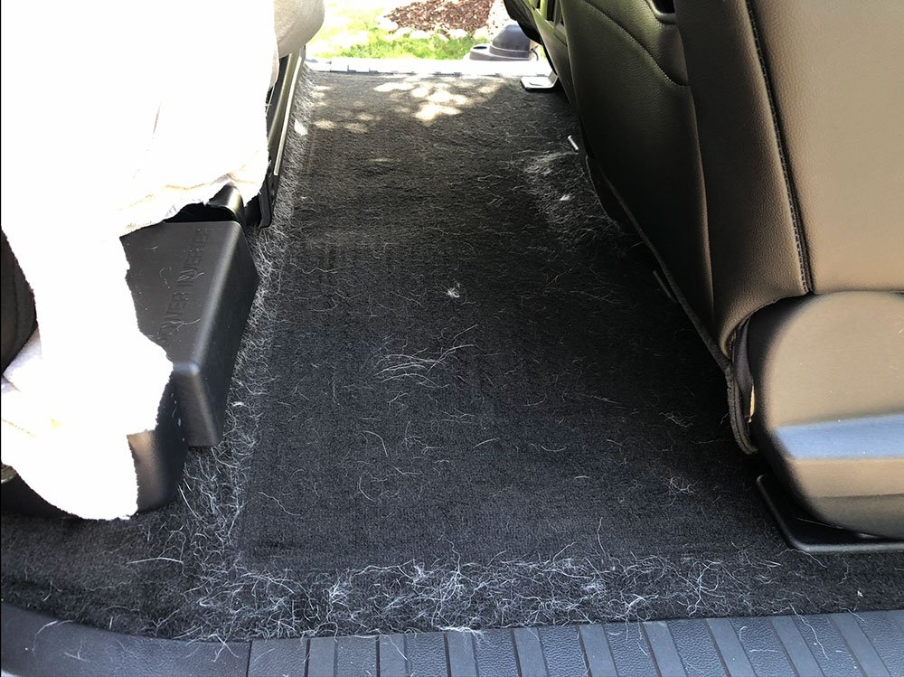 Raptor Interior Before